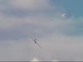 F5b Tiger with a 5 cell setup