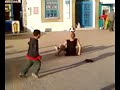 maroc agadir tikiouine assais ait ighiwss