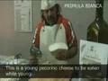 Pecorino Cheese - by Rebecca Christophersen 2/3