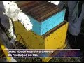 JAIME JR \"VOC� PRECISA SABER\"