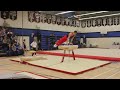 Gold on pommel horse - 2011 Elite Canada