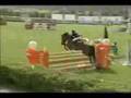 BHP - Chasing Dreams: Show Jumping