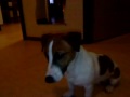 MOV00475.MP4