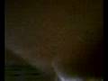videos de ringo diciendo ahi q rico