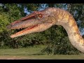 Coelophysis Tribute