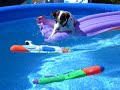 Thomas the Tweaky Terrier goes rafting