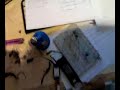 lettore di fase per motori brushless