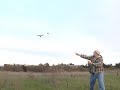 Falconry American Kestrel Lure Fly #6