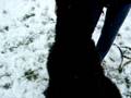 videos de Pidou dans la neige