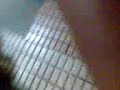 porciones de telepiza