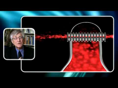 Fukushima Daiichi - sowingthewinds 21.05.2012 For full interview transcription, please go to: http://www.fairewinds.com/content/fukushima-daiichi-truth-and-future http://www.fai...