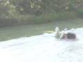Slip and Slide # 5