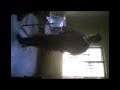 www.ajaykmr.in-ajay-school video1 (5).3gp