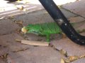 100_3232.MOV