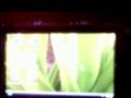 PSP - How to install Windows Vista Portal
