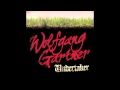 Wolfgang Gartner Undertaker Video and Lyrics