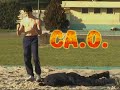 piñas faiter parodia estilo street fighter