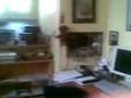 videos de Studiofahrt