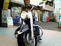 HARLEY-DAVIDSON????????????