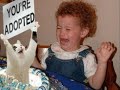 Animale amuzante [ funny animals ]