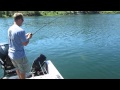 Monster Carp - Norisada Custom Tackle