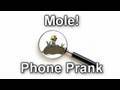 MOLE! Prank phone call.