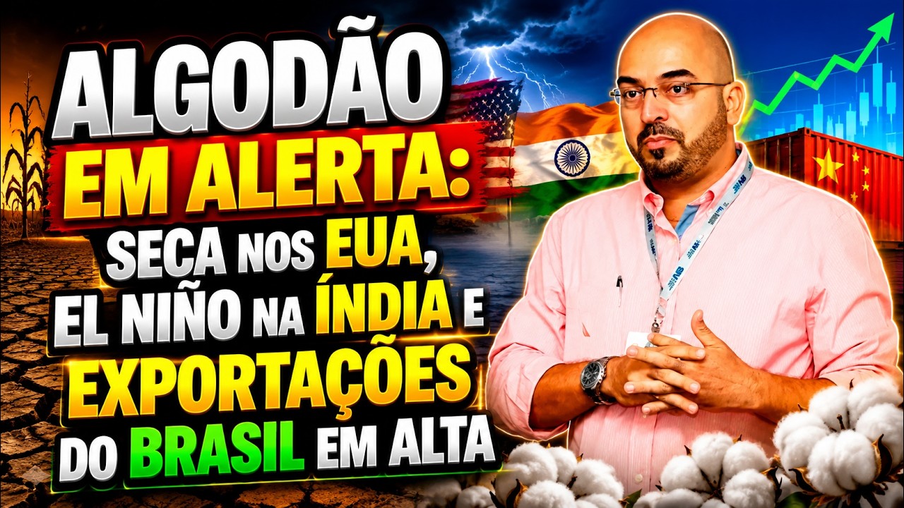 Algodão em alerta: seca nos EUA, El Niño na Índia e exportações do Brasil em alta.