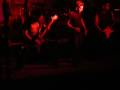 NEFTIS-ZOOFILIA-NEW