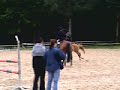 orange des mauves paddock cso orange des mauves paddock cso