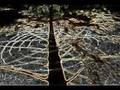 cara's labyrinth - timelapse - sleater kinney - one beat