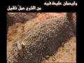 حقيقة الحياة ياغافلين حقيقة الحياة ياغافلين