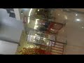 26112009017.mp4