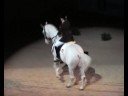 Ann Katrin L�bbe og Zanko i Oslo Horse Show, 2008 =)