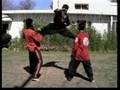Flying Kicks (Ehsan Shafiq an Afghan kung fu champion)