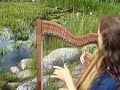 the golden eagle on harp