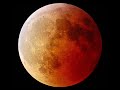 My Wolf & My Moon - Eternity and a Day My Wolf & My Moon - Eternity and a Day