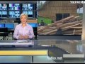 Видеоновость На Бали строят наибольшее в мире здание из бамбука | Это будет помещение для шоколадной фабрики 