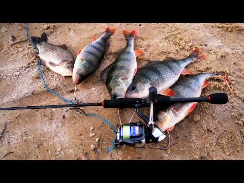 когда жор у окуня весной видео когда жор у окуня по весне видео