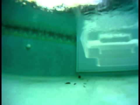 Aquabot Turbo T with a GoPro POV Camera Mounted To It