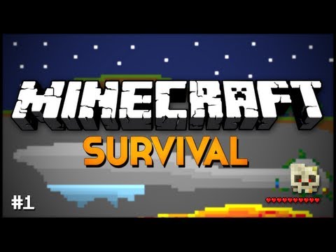 how to install deja vu minecraft