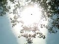 CaughtOnVideo