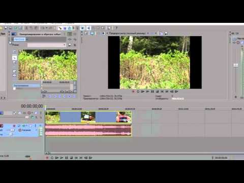   sony vegas     