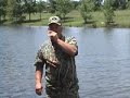 Wood Duck Calling Wood Duck Calling