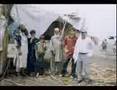 Pillole di saggezza addolcite 6 VI - dial dj - immigrati