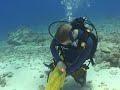Underwater Pumpkin Carving Saipan Marianas Dive Underwater Pumpkin Carving Saipan Marianas Dive