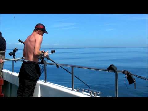 cod fishing newhaven