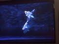 Kingdom Hearts Last Story Part 2