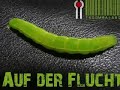 troombaland- kojo ( auf der flucht)
