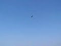 messerschmitt bf109g crash