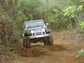 JEEP WRANGLER JEEP WRANGLER
